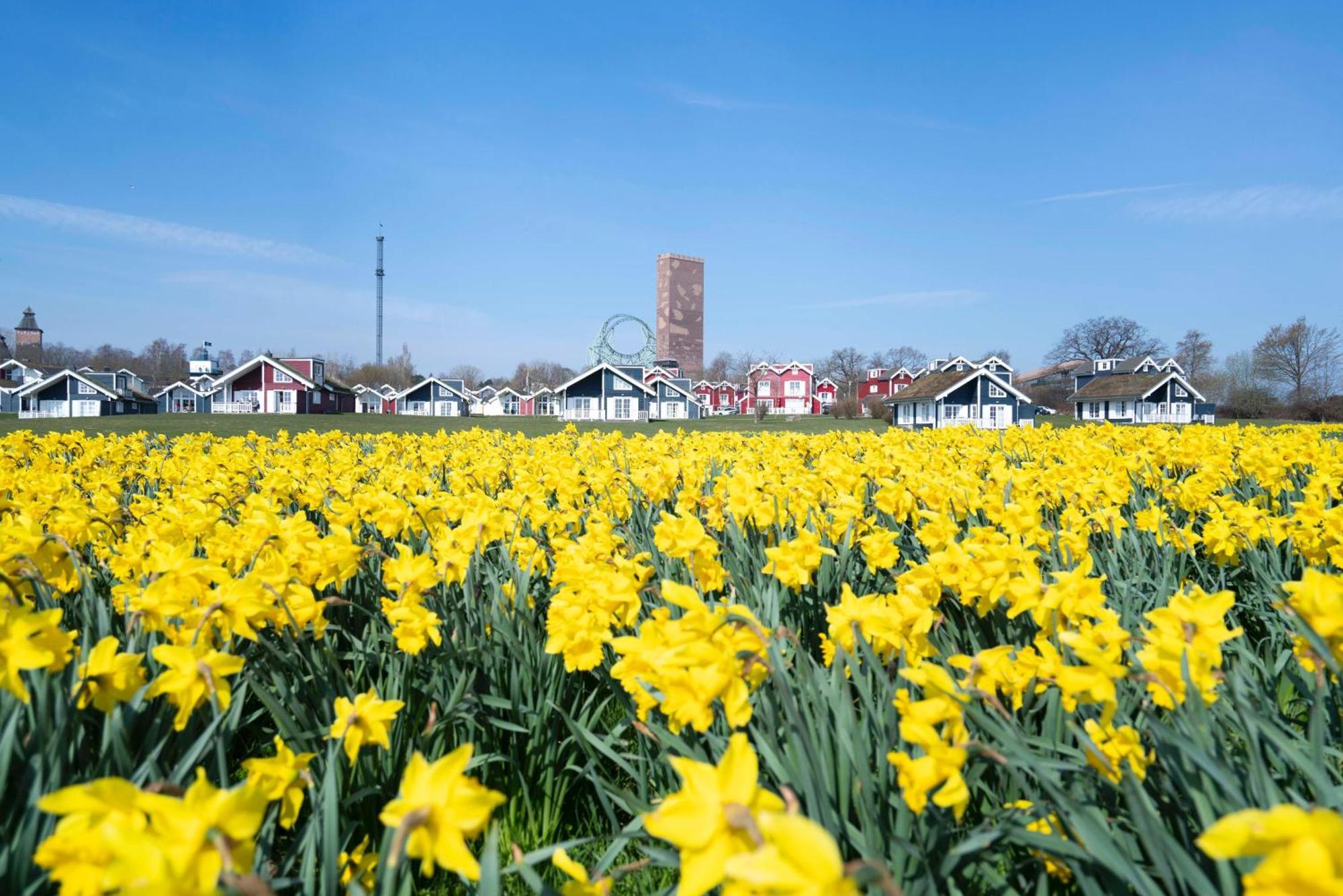 Strandpark Sierksdorf H087 Kültér fotó